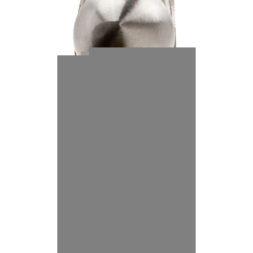 MRW16BP_Ball.png