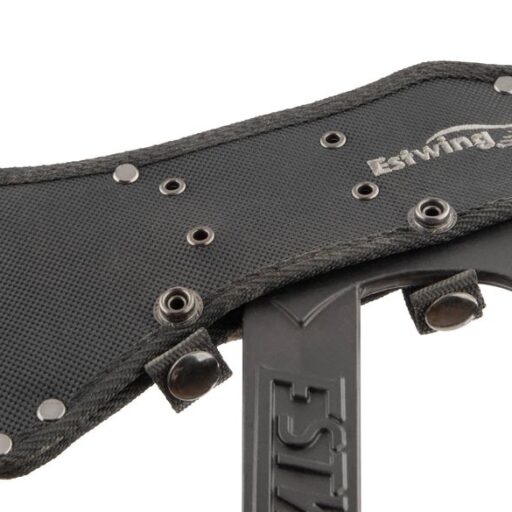 EBTA_Detail_36807.png